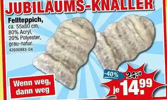 SB Lagerkauf Fellteppich Angebot