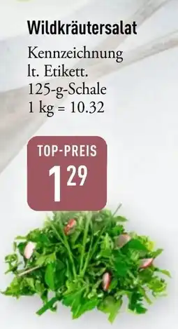 Galeria Markthalle Wildkräutersalat Angebot