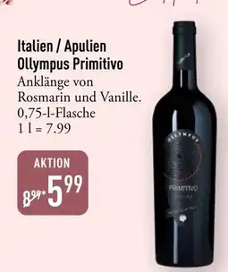 Galeria Markthalle Ollympus Primitivo Angebot