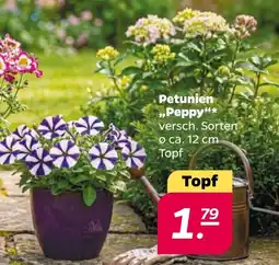 NETTO Petunien „Peppy" Angebot