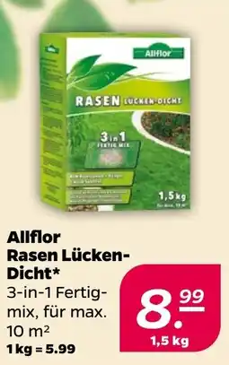 NETTO Allflor Rasen Lücken- Dicht Angebot