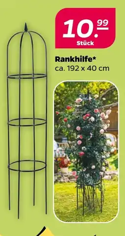 NETTO Rankhilfe Angebot