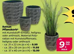 NETTO Rattan Pflanzkorb Angebot