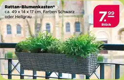 NETTO Rattan-Blumenkasten Angebot
