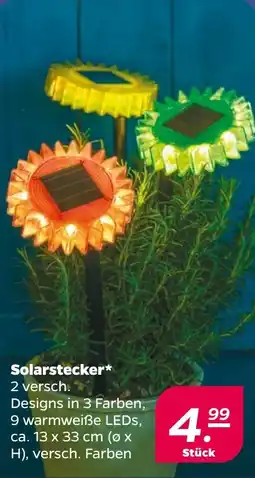 NETTO Solarstecker Angebot
