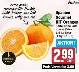 HIT Spanien Gourmet HIT Orangen Angebot