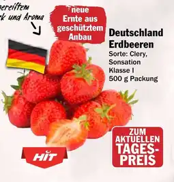 HIT Deutschland Erdbeeren Angebot