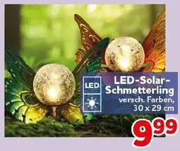 CENTERSHOP LED-Solar Schmetterling Angebot