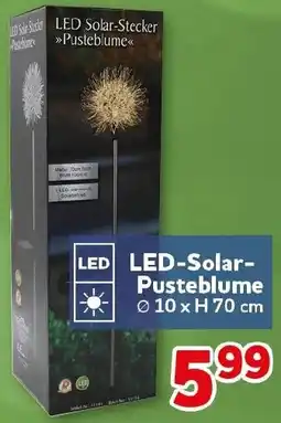 CENTERSHOP LED-Solar Pusteblume Angebot