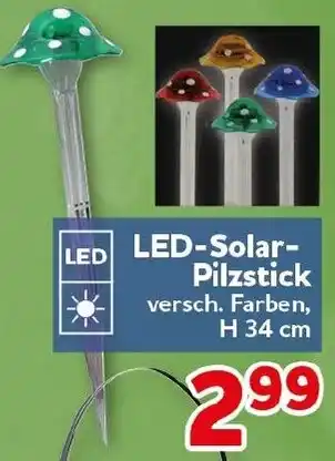 CENTERSHOP LED-Solar Pilzstick Angebot