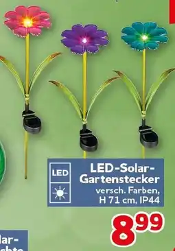 CENTERSHOP LED-Solar Gartenstecker Angebot