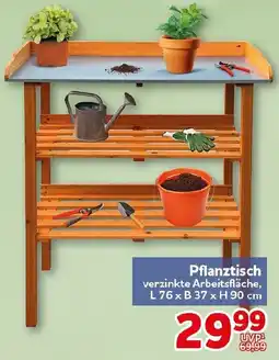 CENTERSHOP Pflanztisch Angebot