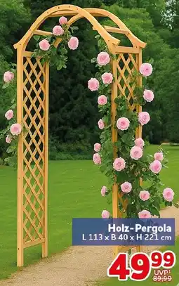 CENTERSHOP Holz-Pergola Angebot