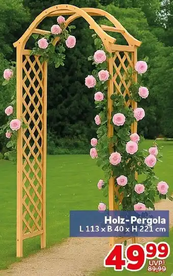 CENTERSHOP Holz-Pergola Angebot