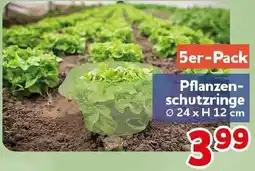 CENTERSHOP Pflanzenschutzringe Angebot