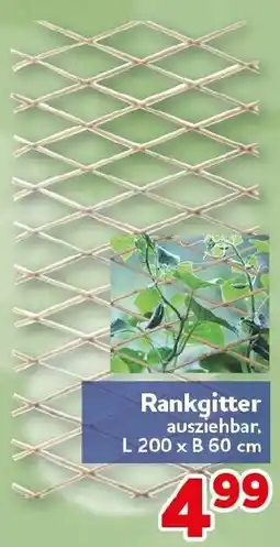 CENTERSHOP Rankgitter Angebot