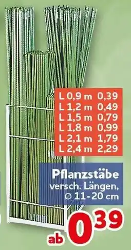 CENTERSHOP Pflanzstäbe Angebot