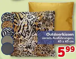CENTERSHOP Outdoorkissen Angebot