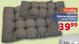 CENTERSHOP Palettenkissen Angebot