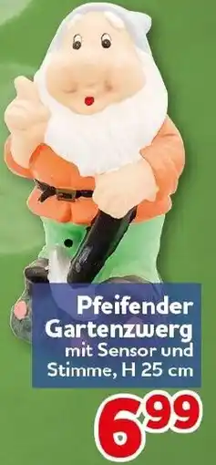 CENTERSHOP Pfeifender Gartenzwerg Angebot