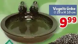 CENTERSHOP Vogeltränke Angebot