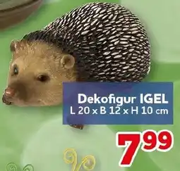 CENTERSHOP Dekofigur IGEL Angebot