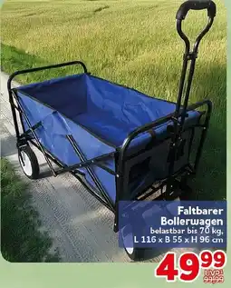 CENTERSHOP Faltbarer Bollerwagen Angebot