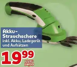 CENTERSHOP Akku Strauchschere Angebot