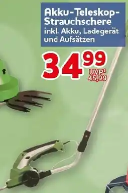 CENTERSHOP Akku-Teleskop Strauchschere Angebot