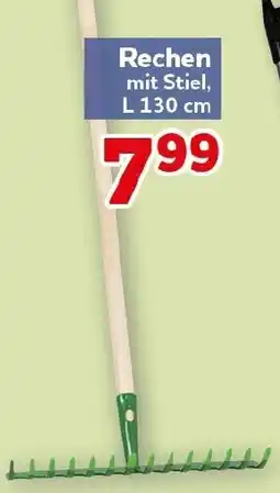 CENTERSHOP Rechen mit Stiel Angebot