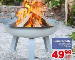 CENTERSHOP Feuerschale Angebot