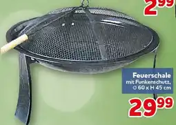 CENTERSHOP Feuerschale Angebot