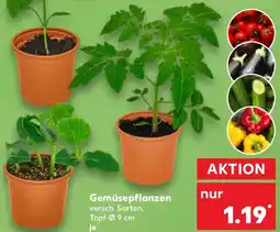 Kaufland Gemüsepflanzen Angebot