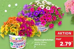 Kaufland Zauberglöckchen Angebot