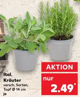 Kaufland Ital. Kräuter Angebot