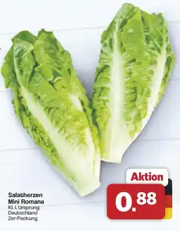 Famila Nord West Salatherzen Mini Romana Angebot