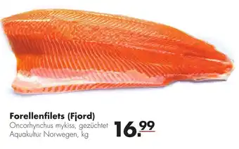 Handelshof Forellenfilets (Fjord) Angebot