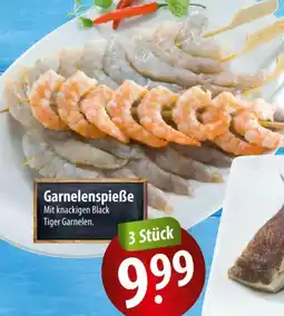 Famila Nord Ost Garnelenspieẞe Angebot