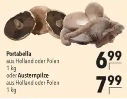 CITTI Markt Portabella oder Austernpilze Angebot