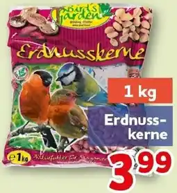 CENTERSHOP Erdnusskerne Angebot