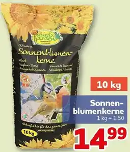 CENTERSHOP Sonnenblumenkerne Angebot