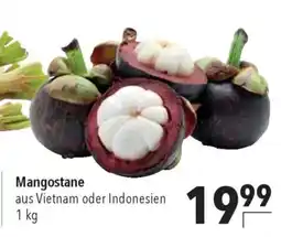 CITTI Markt Mangostane Angebot