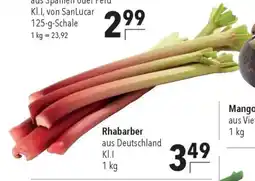 CITTI Markt Rhabarber Angebot