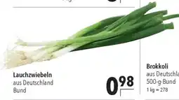 CITTI Markt Lauchzwiebeln Angebot