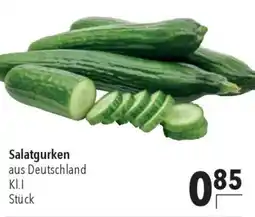 CITTI Markt Salatgurken Angebot
