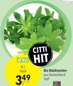 CITTI Markt Bio Waldmeister Angebot