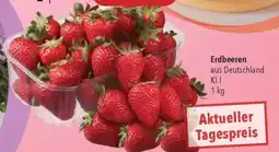 CITTI Markt Erdbeeren Angebot