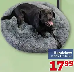 CENTERSHOP Hundebett Angebot