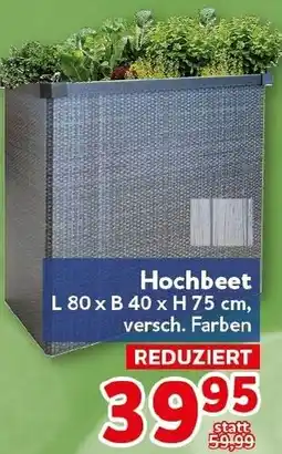 CENTERSHOP Hochbeet Angebot