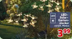 CENTERSHOP LED Solar Gartenstecker Angebot
